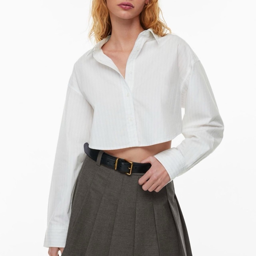 Aritzia Sunday Best Poppy Poplin cropped button up shirt